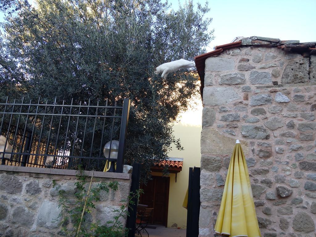 Aristonicus Boutique Hotel Bergama Kültér fotó